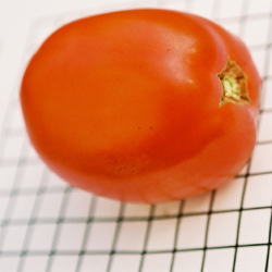 Tomato shape